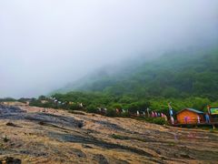 -黄龙山原始森林景区