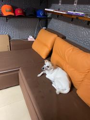 -墨缘纹身工作室