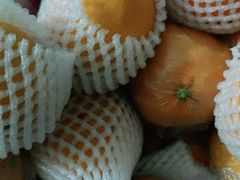 -南京众彩农副产品配送有限公司