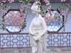 -莫愁湖公园