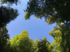 -天目湖御水温泉·度假酒店