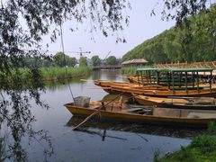 -白渔泡湿地公园