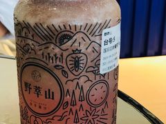 莲雾巨峰葡萄-野萃山·潮汕厚果汁(十亩地店)