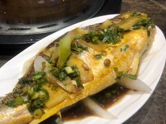 雪菜蒸野生黄花鱼-日进一片海.生腌海鲜火锅.宵夜烧烤(三里屯总店)
