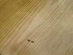 -方中山胡辣汤(西安高新区店)