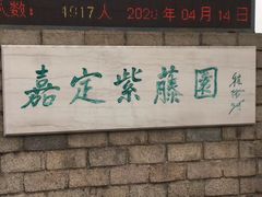 -嘉定紫藤园