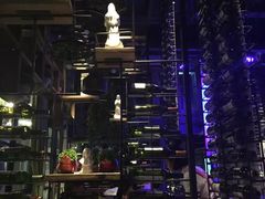 -胡桃里音乐酒馆(星湖北一里店)