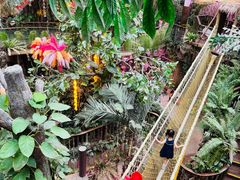 -正佳雨林生态植物园