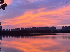 -洋湖国家湿地公园