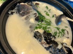 -老淳安—伴山伴湖(千岛湖开元度假村店)