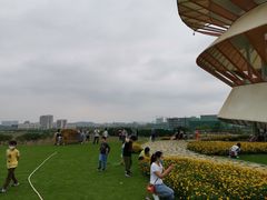 -光明小镇欢乐田园