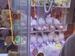 -可爱抓 COCO  GOTCHA(天津鹏欣水游城店)