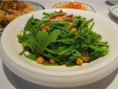 -巴依老爷新疆美食(工体旗舰店)