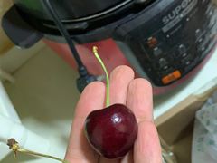 -菜园坝水果市场