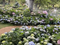 -名花谷生态庄园