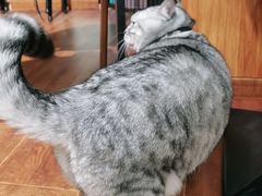 -H立方实景剧情密室(天河旗舰店)