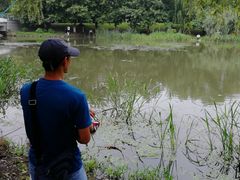 -九里河湿地公园
