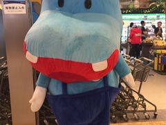 -盒马鲜生(宝地店)