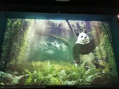 -珠海横琴国家地理探险家中心(创新方)