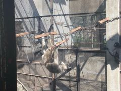 -昆明动物园