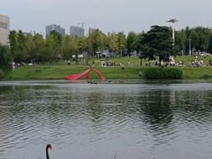 -洋湖国家湿地公园