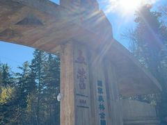 -五营红松林海景区