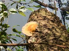 -小格里自然风景区