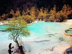 -黄龙山原始森林景区