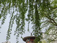 -皇家御河游(紫御湾码头)