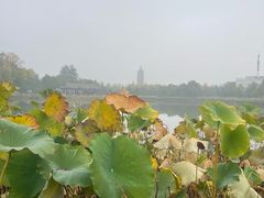 -西海子公园