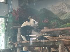 -武汉动物园