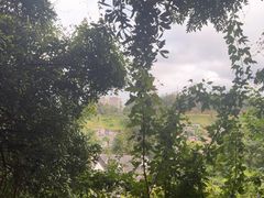 -伯先公园