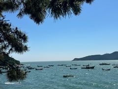 -海源公园