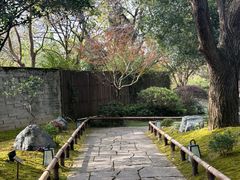 -新荣记(西溪湿地店)