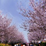 团建的意外惊喜