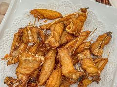 -正能量脆肉鲩火锅