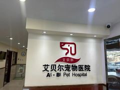 -艾贝尔宠物医院·24H转诊中心·肿瘤猫专科(江宁双龙店)