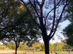 -太阳宫公园