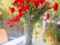 -春暖花开(西溪店)