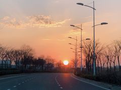 -春花秋色城市公园