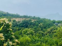 -妙峰山风景名胜区