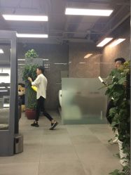 -INS羽毛接发·巴黎画染