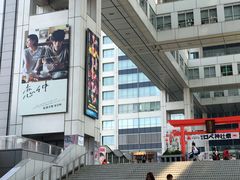 -台场海滨公园船码头