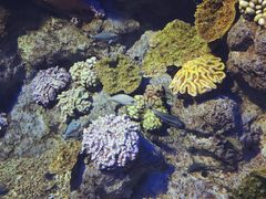 -福州罗源湾海洋世界旅游区