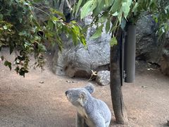 -可伦宾野生动物保护区