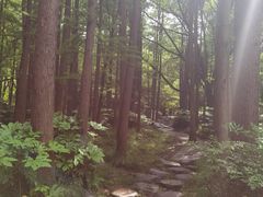 -共青国家森林公园-售票处