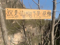 -十渡东湖港风景区