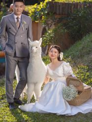 -花漾摄影优选工作室(东莞原创作品店)