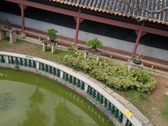 -碧江金楼
