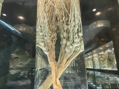 -广东中医药博物馆